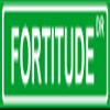 Novelty FORTITUDE 8" wide vinyl decal bumper sticker of street sign view 1