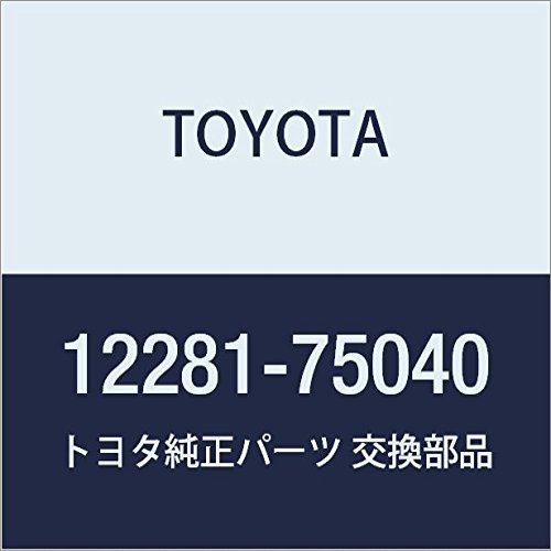 Toyota Genuine Parts - Hanger, Engine (12281-75040)