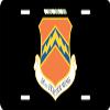 US Air Force 56th Fighter Wing License Plate view 1