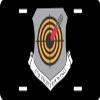 US Air Force 57th Fighter Wing License Plate view 1