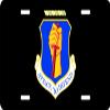 US Air Force 35th Wing License Plate view 1