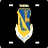 US Air Force 374th Airlift Wing License Plate view 1