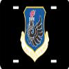 US Air Force 106th Rescue Wing License Plate view 1