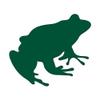 Applicable Pun Frog Looking up Ribbit Amphibian Rainforest Biology- Vinyl Decal for Outdoor Use on Cars, ATV, Boats, Windows and More - Forest Green 11 inch view 1