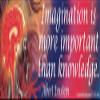 Imagination Is More Important Than Knowledge - Albert Einstein - Magnetic Bumper Sticker / Decal Magnet (10.5" X 3") view 1