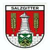 carstyling XXL Sticker Crest Salzgitter 115 x 90 mm view 1