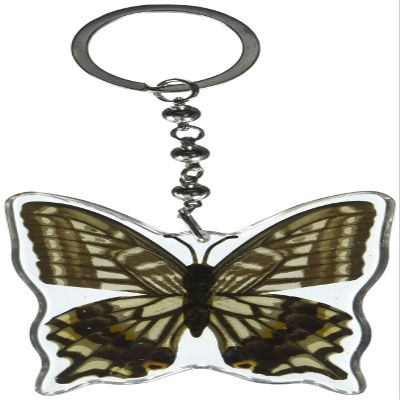 REALBUG Asian Swallowtail Butterfly Wing Key Chain