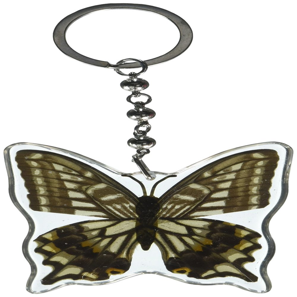 REALBUG Asian Swallowtail Butterfly Wing Key Chain