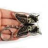 REALBUG Asian Swallowtail Butterfly Wing Key Chain view 2