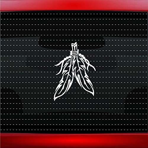 Noizy Graphics Feather #2 Indian Native American Car Sticker Truck Window Vinyl Decal Color: Pink