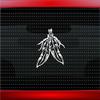 Noizy Graphics Feather #2 Indian Native American Car Sticker Truck Window Vinyl Decal Color: Pink view 1