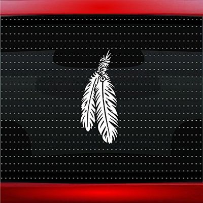 Noizy Graphics Feather #6 Indian Native American Car Sticker Truck Window Vinyl Decal Color: Green