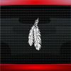 Noizy Graphics Feather #6 Indian Native American Car Sticker Truck Window Vinyl Decal Color: Green view 1