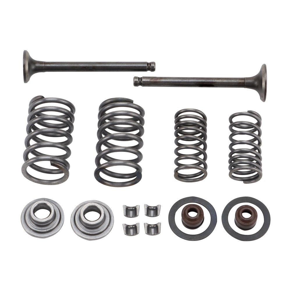 GOOFIT Intake Valve and Exhaust Valve Springs Stem Seals for GY6 50cc 139QMB ATV Scooter Roketa Taotao Sunl
