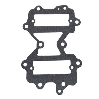 Pro Marine Gasket, Reed Adapter Plate Compatible with Johnson/Compatible with Evinrude 40-50hp 2cyl