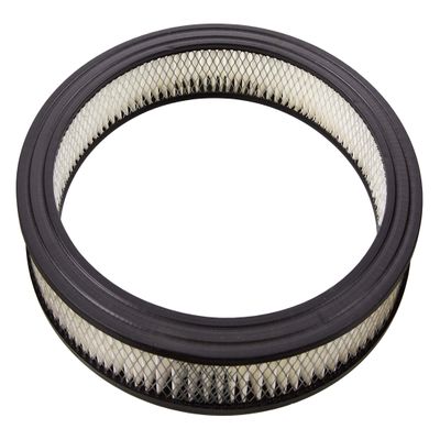 Champion CAR2719B Engine Air Filter