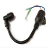 Boat Motor 2.5F-01.03.01.00 Ignition Coil Assy for Hidea Outboard 2.5HP 2.5F T2.5 2-stroke Engine view 1