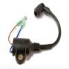 Boat Motor 2.5F-01.03.01.00 Ignition Coil Assy for Hidea Outboard 2.5HP 2.5F T2.5 2-stroke Engine view 4