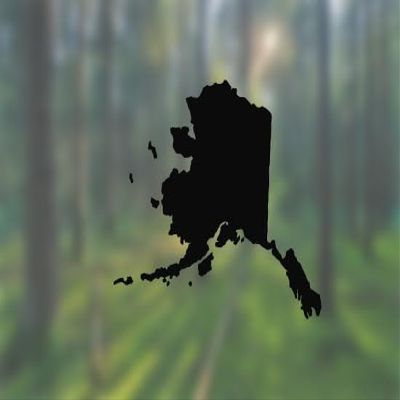 Alaska State Shape Native Local - Vinyl Decal - Car Phone Helmet - Select Size