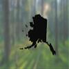 Alaska State Shape Native Local - Vinyl Decal - Car Phone Helmet - Select Size view 1