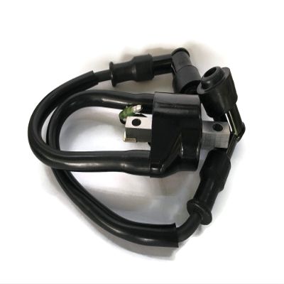 Boat Motor Ignition Coil W/Resistance 3A0-06048-1 3A0-06048-1 0M 160643 Compatible For Tohatsu Nissan Mercury Quicksilver Outboard M NS 25HP 30HP 2-stroke Engine