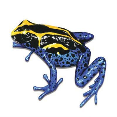 Blue Poison Dart Frog Coloful Beautiful Dangerous - 5" Vinyl Sticker - for Car Laptop I-Pad - Waterproof Decal
