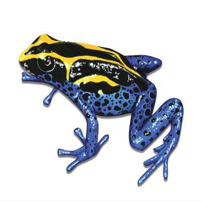 Blue Poison Dart Frog Coloful Beautiful Dangerous - 5" Vinyl Sticker - for Car Laptop I-Pad - Waterproof Decal