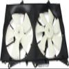 CPP Dual Cooling Fan for 2004-2006 Lexus ES330 LX3115111 view 4