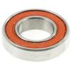 MAX Cartridge Bearing view 1
