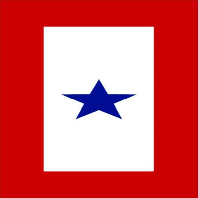 1 Blue Star Military Service Flag Sticker (Army Decal)