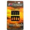 GAS GAS Rad Valve Power Reed Kit EC 200 1999-2006 / EC 250 1997-2005 / MC 250 1998-2005 / EC 300 1999-2005 Boyesen Motorcycle/ATV RL-91 view 1