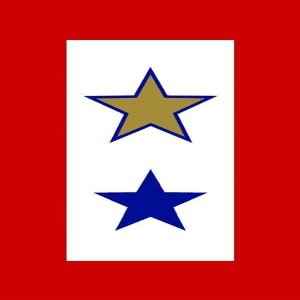 LPF USA 1 Gold Star and 1 Blue Star Military Service Flag Sticker (Honor one Army)