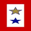 LPF USA 1 Gold Star and 1 Blue Star Military Service Flag Sticker (Honor one Army) view 1