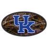 Kentucky Hitch Cover (Domed Camouflage UK Hitch_20126) view 1