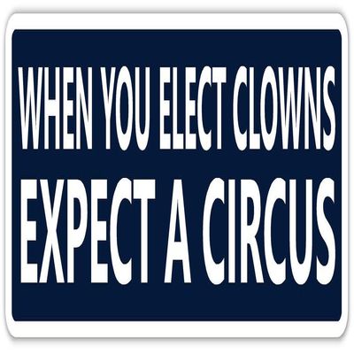 When You Elect Clowns Funny Anti Trump Vinyl Bumper Sticker Decal 3" x 8"