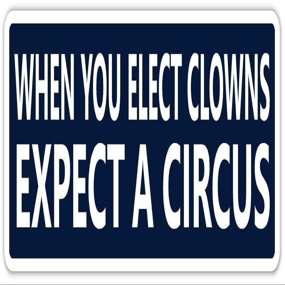 When You Elect Clowns Funny Anti Trump Vinyl Bumper Sticker Decal 3" x 8"