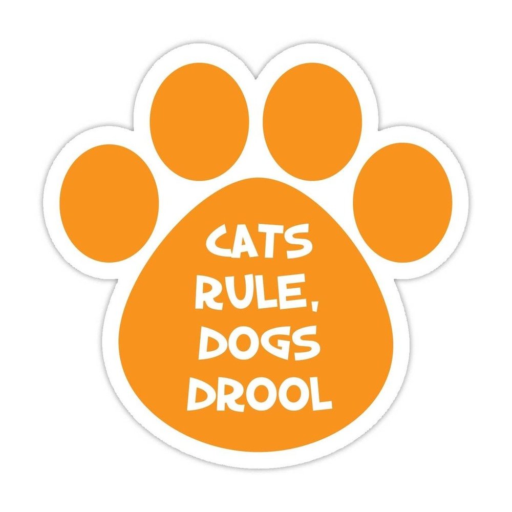 Cats Rule Dogs Drool Bumper Sticker Vinyl Decal 5"X 5"