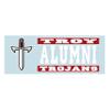 Helmet Decal for Troy view 1
