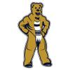 Penn State Decal view 1