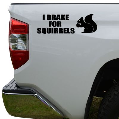 Rosie Decals I Brake For Squirrels Die Cut Vinyl Decal Sticker For Car Truck Motorcycle Window Bumper Wall Decor Size- [10 inch/25 cm] Wide Color- Matte White