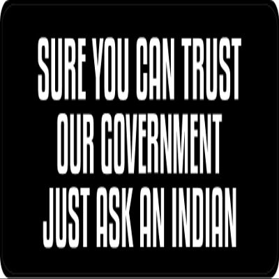 1080 Graphics 3 - Sure You Can Trust Our Government Hard Hat/Biker Helmet Sticker BS 1063