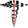 US Flag - RN - Corpsmen Symbol - Caduceus Decal view 1