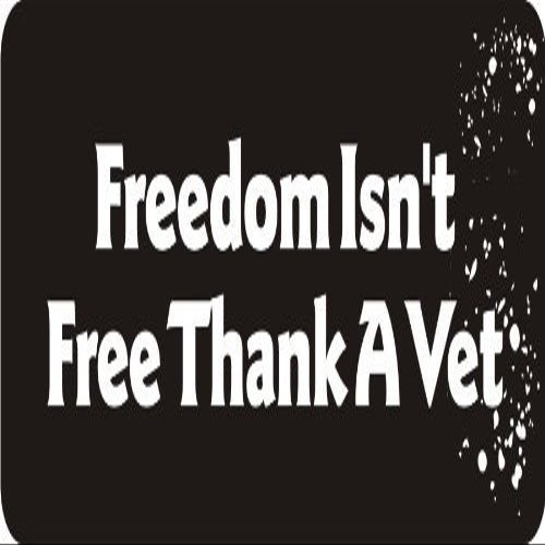 1080 Graphics 3 - Freedom Isn't Free Thank A Vet 1 1/4" x 3" Hard Hat Biker Helmet Stickers Bs153