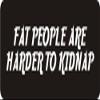 1080 Graphics 3 - Fat People are Harder to Kidnap 1 1/4" x 3" Hard Hat Biker Helmet Stickers Bs145 view 1