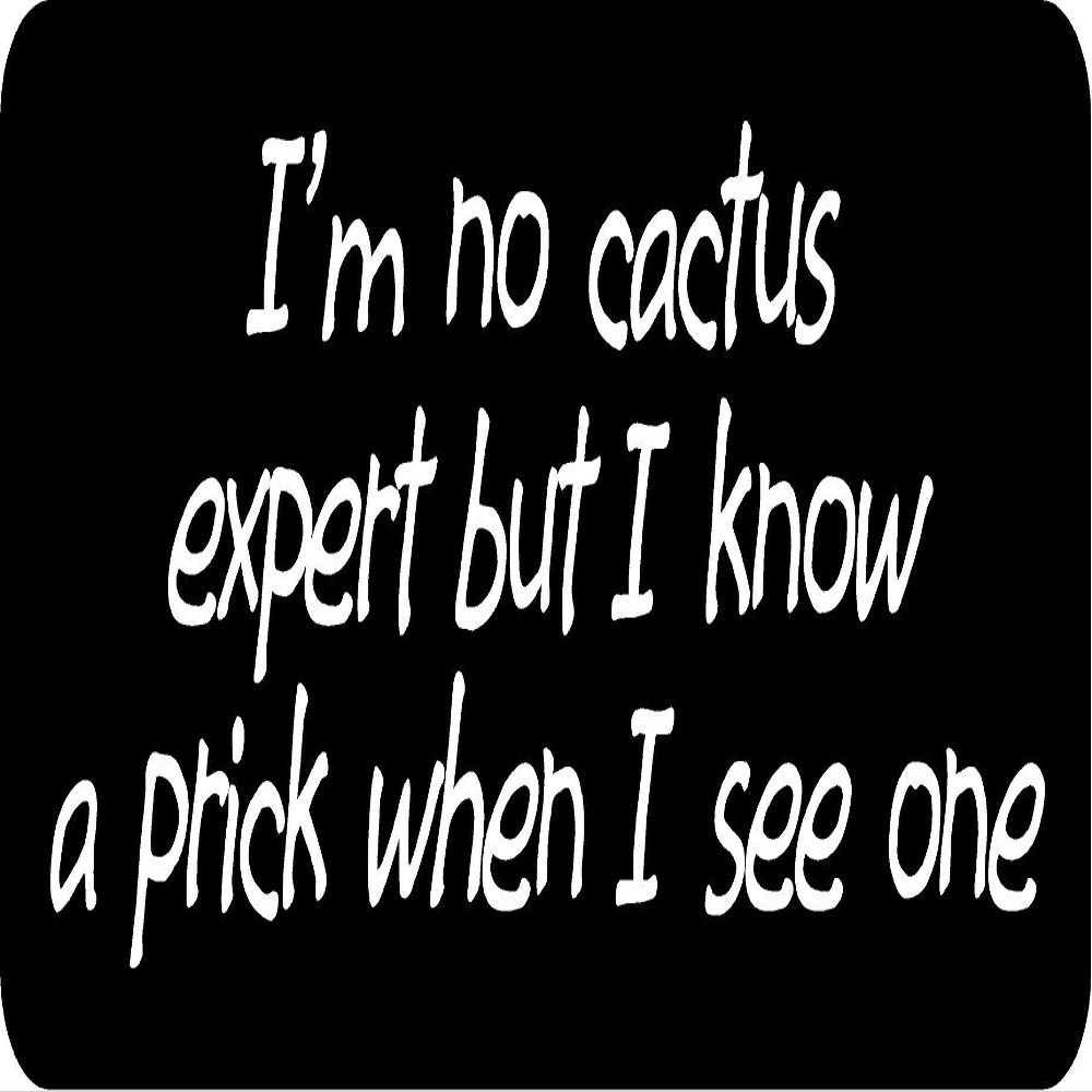 1080 Graphics 3 - I'm No Cactus Expert But I Know A Prick When I See One 1 1/4" x 3" Hard Hat Biker Helmet Stickers Bs276