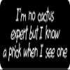1080 Graphics 3 - I'm No Cactus Expert But I Know A Prick When I See One 1 1/4" x 3" Hard Hat Biker Helmet Stickers Bs276 view 1