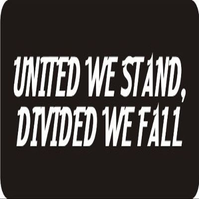 1080 Graphics 3 - United We Stand, Divided We Fall 1 1/4" x 3" Hard Hat Biker Helmet Stickers Bs561