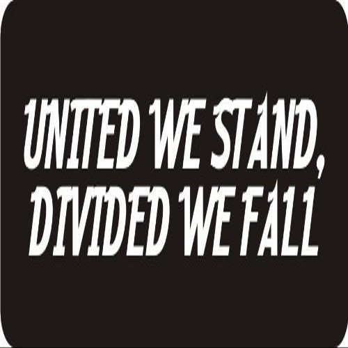 1080 Graphics 3 - United We Stand, Divided We Fall 1 1/4" x 3" Hard Hat Biker Helmet Stickers Bs561