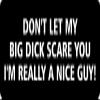 1080 Graphics 3 - Don't Let My Big Dick Scare You Hard Hat/Biker Helmet Sticker BS 751 view 1