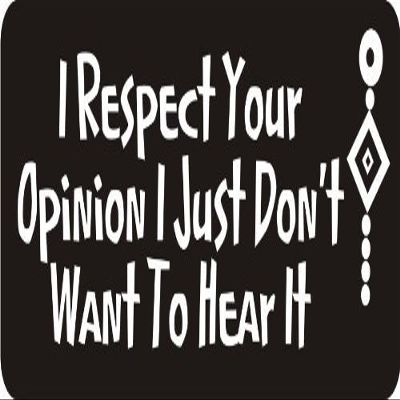 1080 Graphics 3 - I Respect Your Opinion I Just Don't Want to Hear It 1 1/4" x 3" Hard Hat Biker Helmet Stickers Bs259